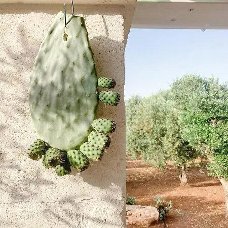 La Mignola Vakantieboerderij