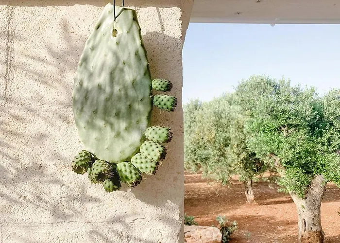 La Mignola Agroturismo